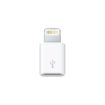Lightning to Micro USB Adapter
